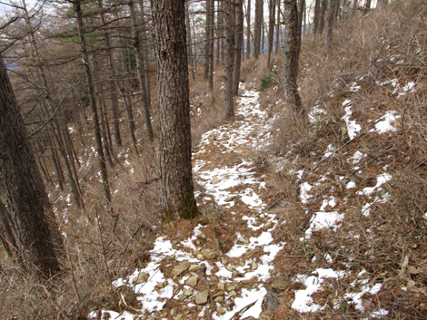 20181214hike (519)